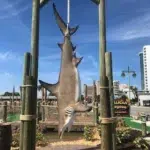 Mulligans Lagoon Coupons Gallery Image