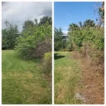 Powell Environmental Service Coupons Gallery Image