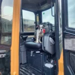 Powell Environmental Service Coupons Gallery Image