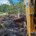 Powell Environmental Service Coupons Gallery Image