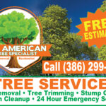 All American Tree Specialist Gallery Image