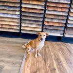 Core Flooring Center Gallery Image