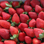 Strawberry Fest in Lake Helen Gallery Image