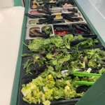 Coastal Market Cocoa Beach Coupons Gallery Image