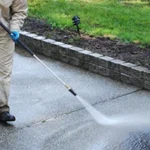 Budget Steemer Coupons Gallery Image